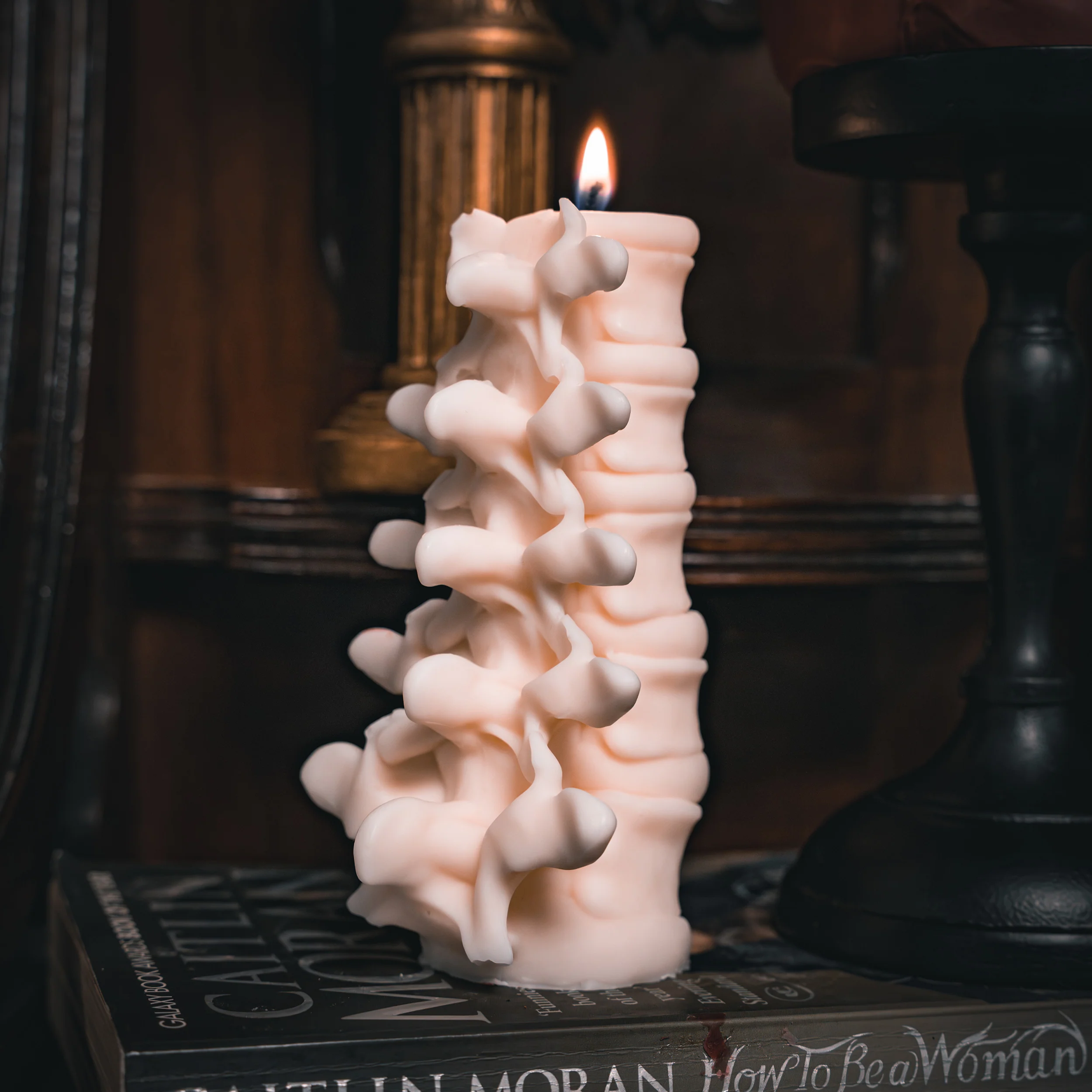 Anatomy Candles Gift Box - Image 3