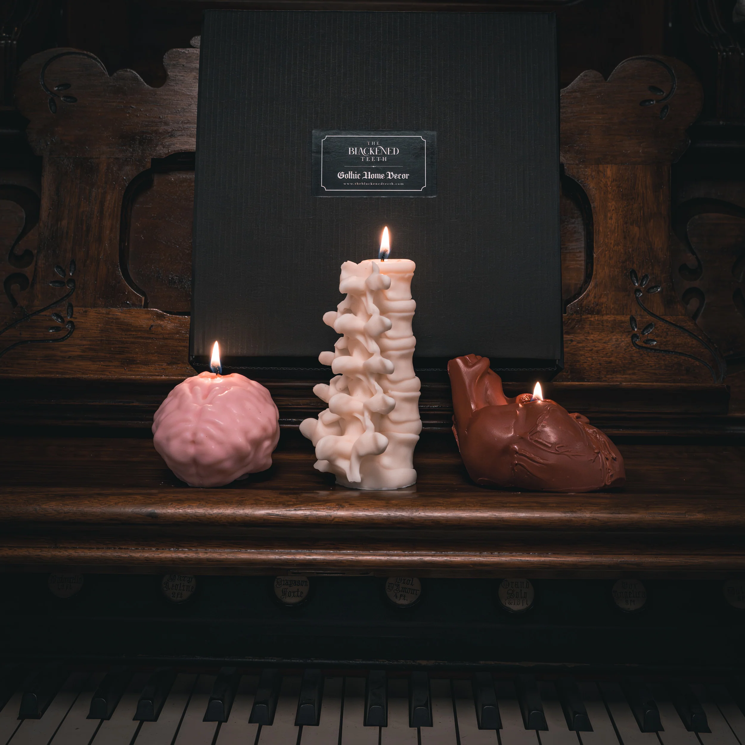 Anatomy Candles Gift Box - Image 4