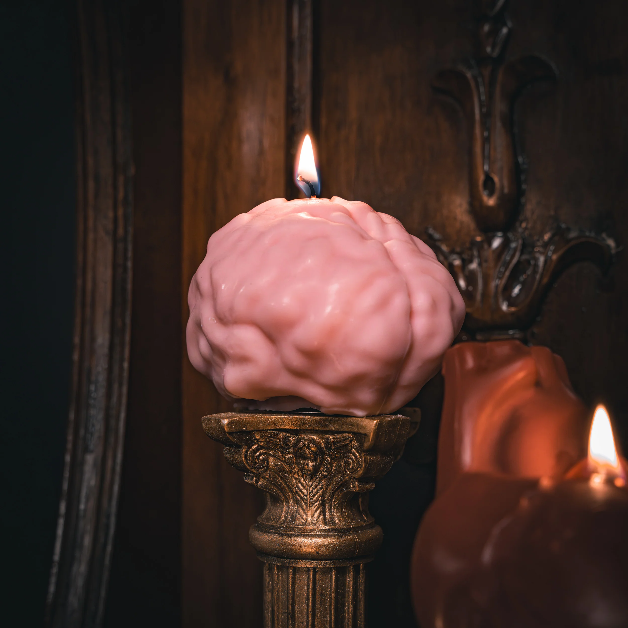 Anatomy Candles Gift Box - Image 5