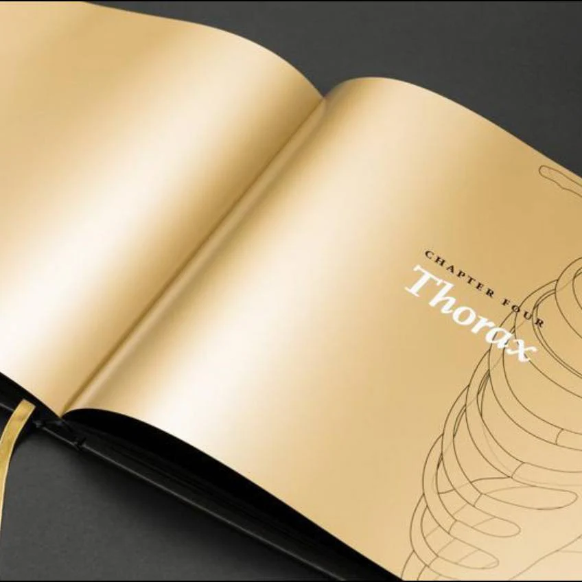 Anatomy in Black - Deluxe Edition - Image 5