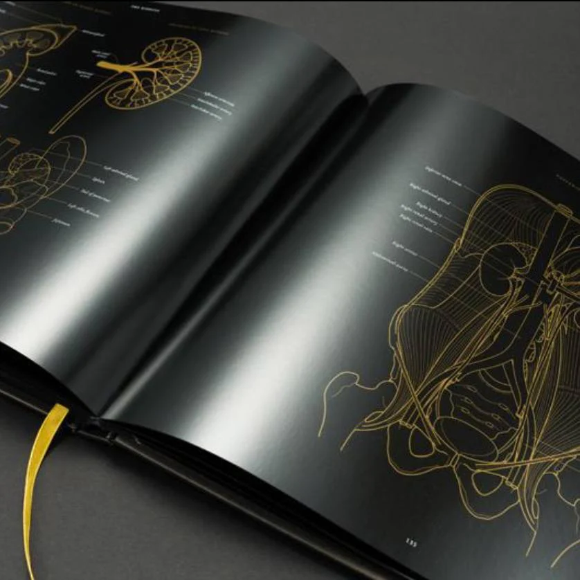 Anatomy in Black - Deluxe Edition - Image 6