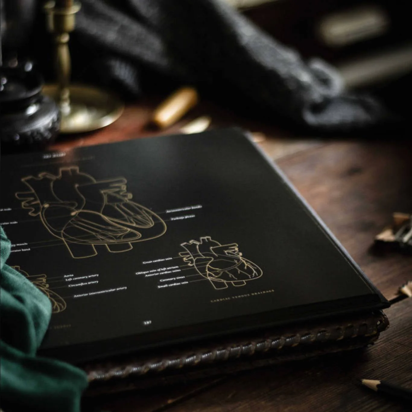 Anatomy in Black - Deluxe Edition - Image 7