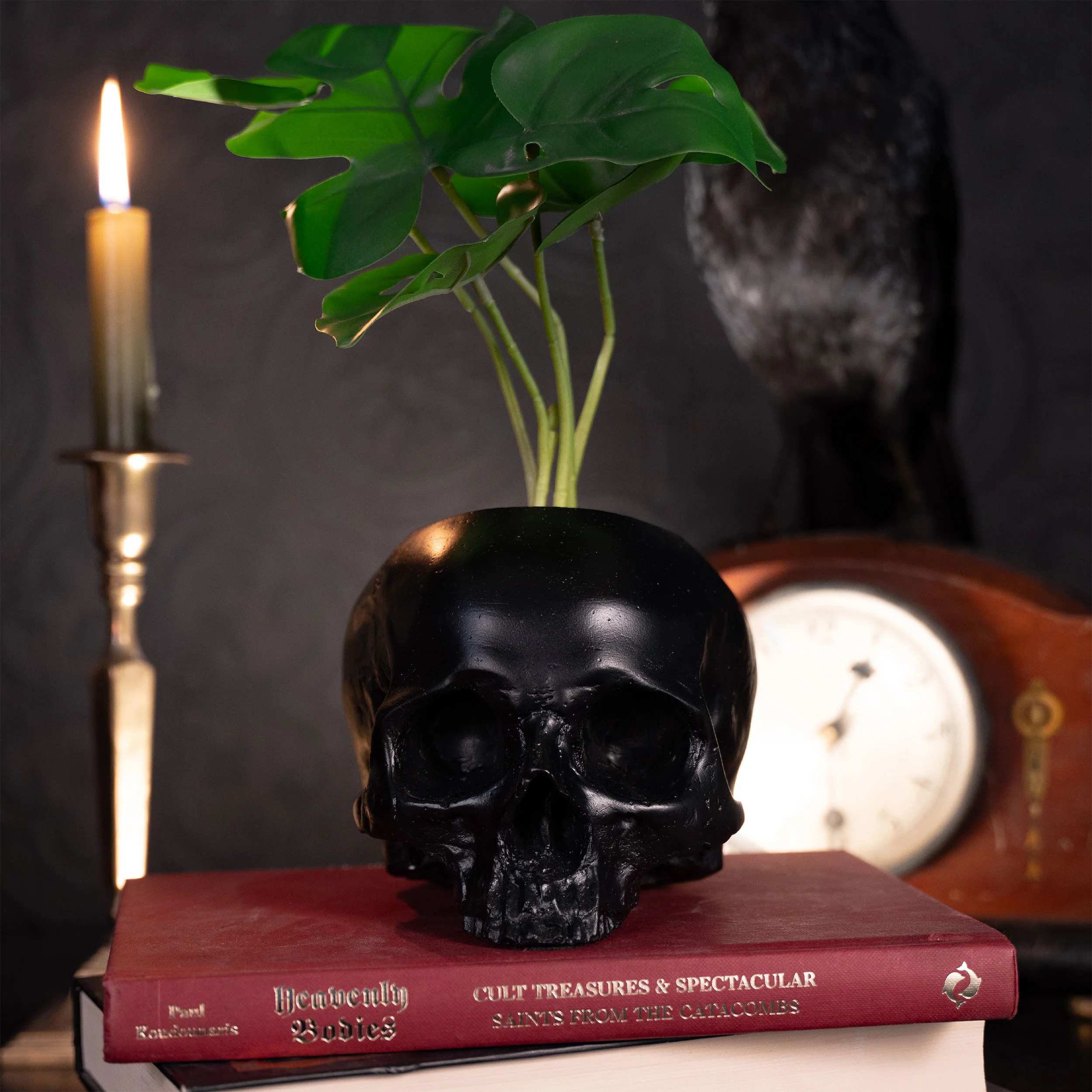 Jane Doe Skull Pot - Image 4