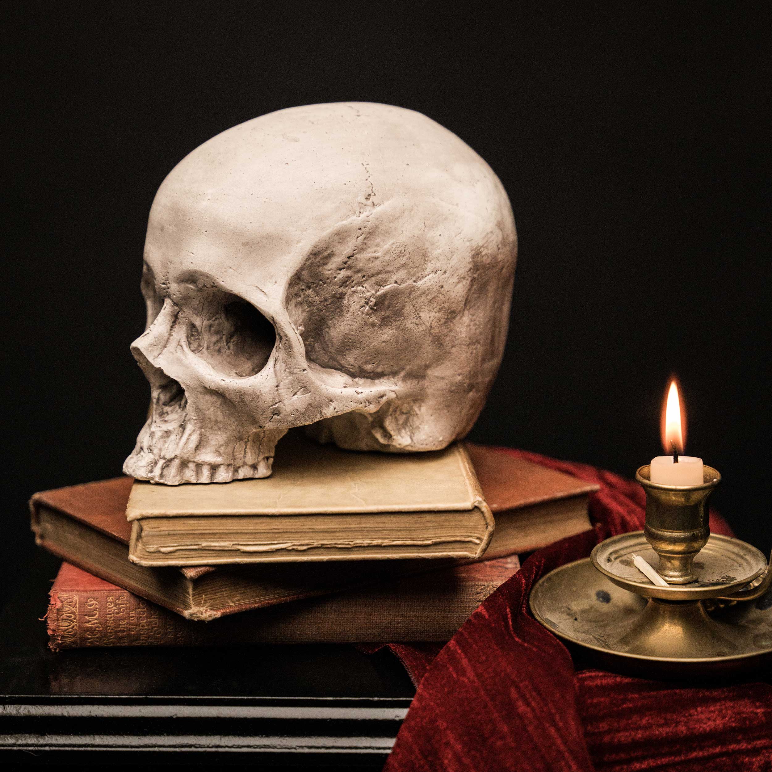 Skull of Jane Doe Ornament - Natural - Image 3