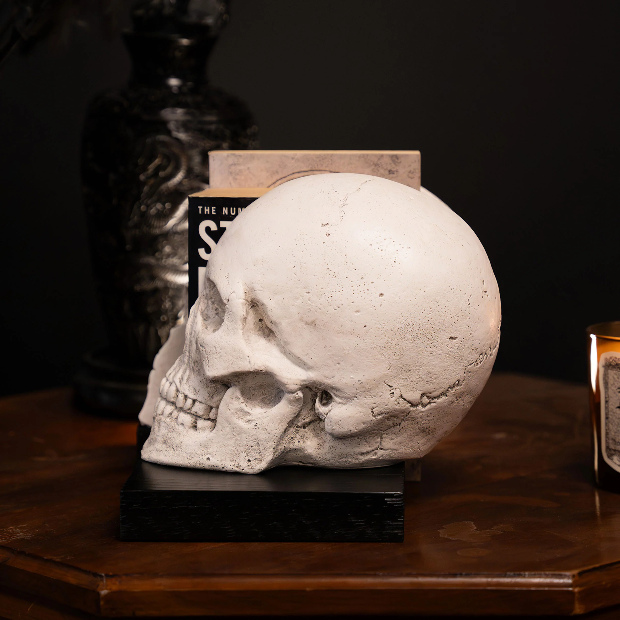 Skull Bookends - Image 3