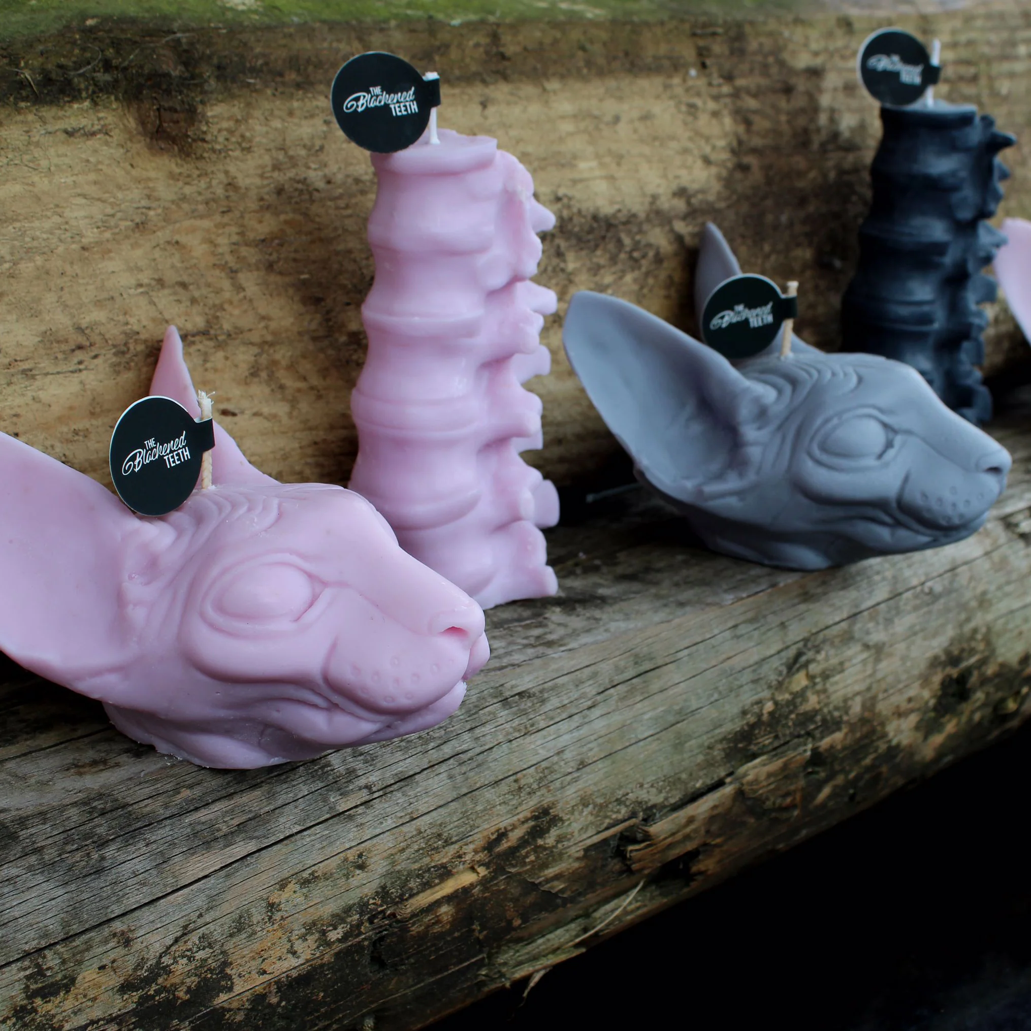 Sphynx Cat Candle - Image 3