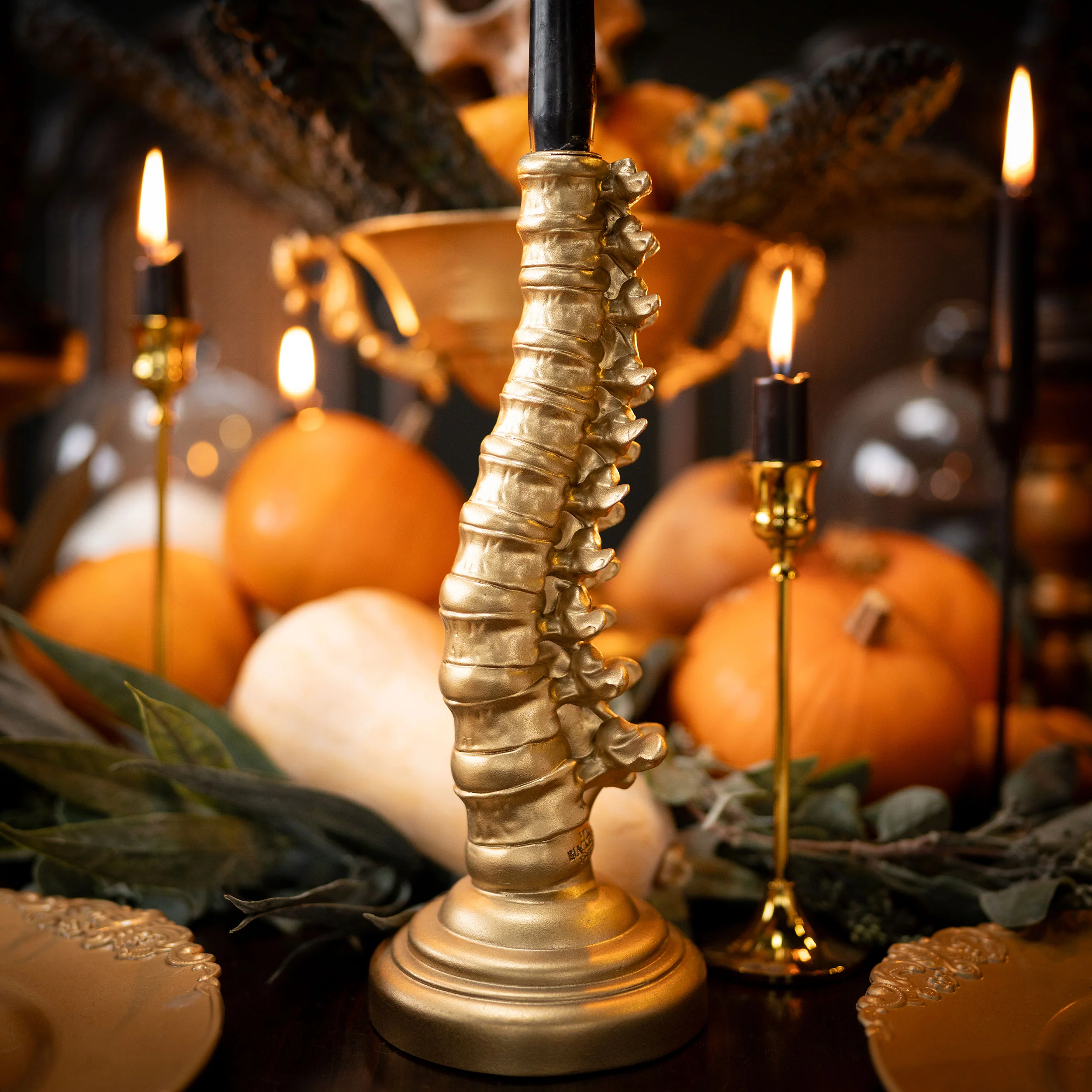 Spine Candlestick Holder - Image 5